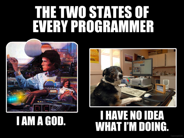 Programmer