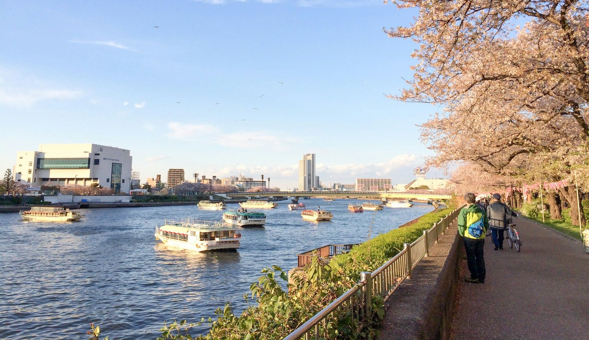 Riverside in Tokyo