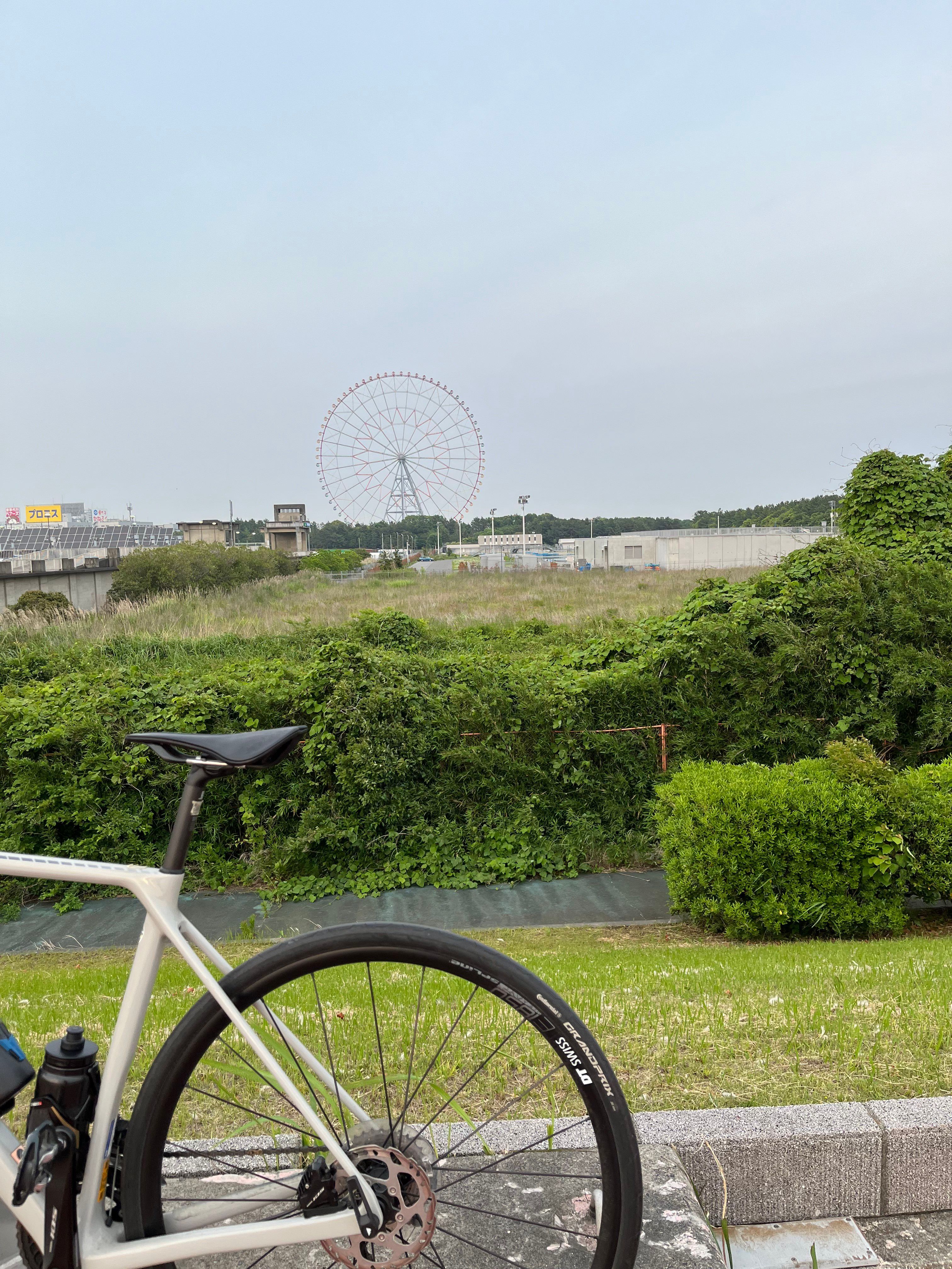 Ferris Wheel