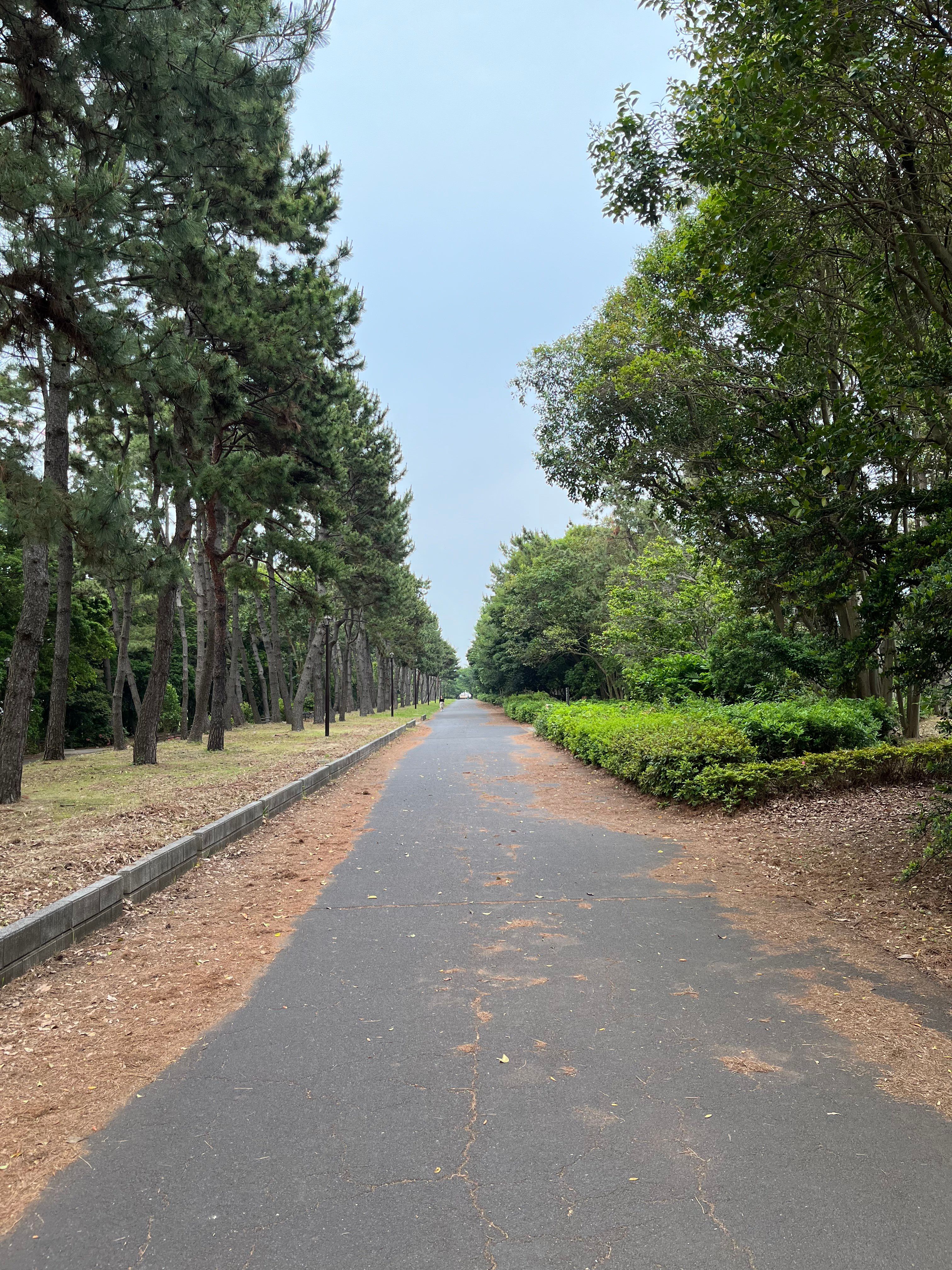 Kasai Rinkai Koen